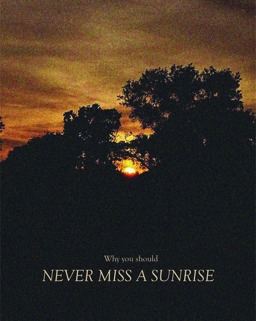 Why you should NEVER MISS A SUNRISE.