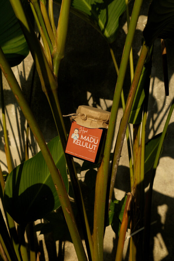 Madu Kelulut - Image 3