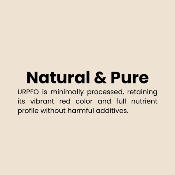 Unrefined Red Palm Fruit Oil - Image 12