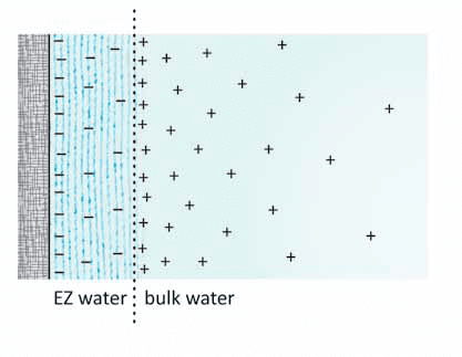 The Fourth Phase of Water